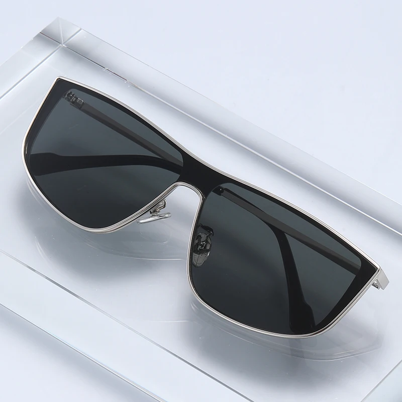Gafas de sol de una sola pieza - Metal Photo Panel reseña y precio